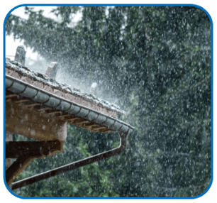 1-Dec-06-2024-11-10-27-3524-AM