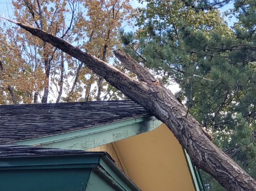 1-Dec-09-2024-11-49-53-2050-AM