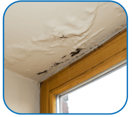 2-Dec-06-2024-10-56-55-4137-AM