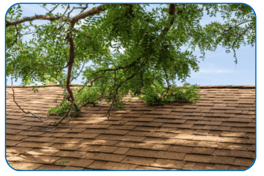 2-Dec-06-2024-11-51-41-1044-AM