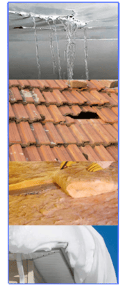 3-Dec-06-2024-11-19-12-0618-AM