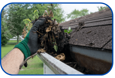 3-Dec-09-2024-07-56-44-9483-AM