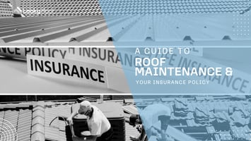  Roof Insurance and the Importance of Maintenance